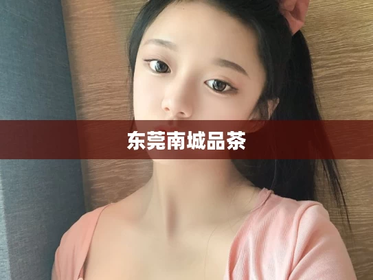 东莞南城品茶	