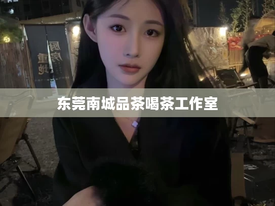 东莞南城品茶喝茶工作室
