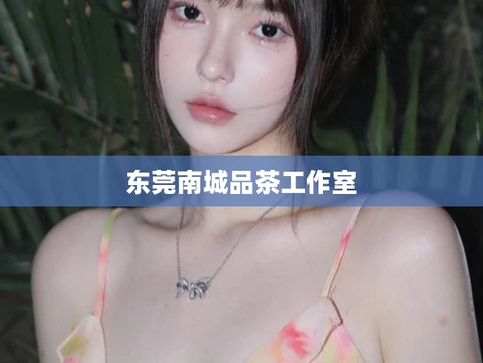 东莞南城品茶工作室