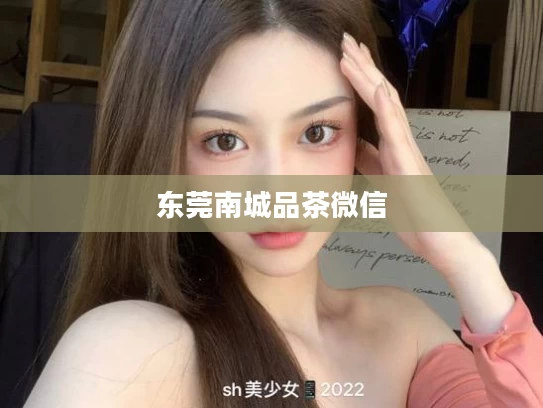 东莞南城品茶微信