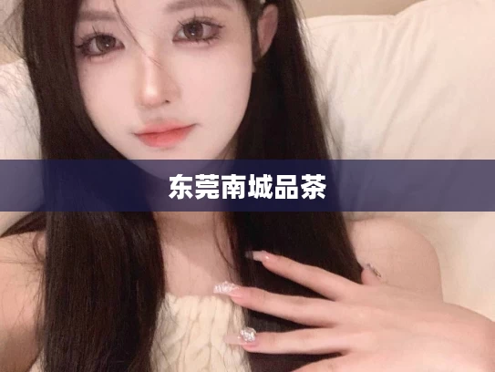 东莞南城品茶