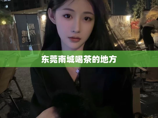 东莞南城喝茶的地方	