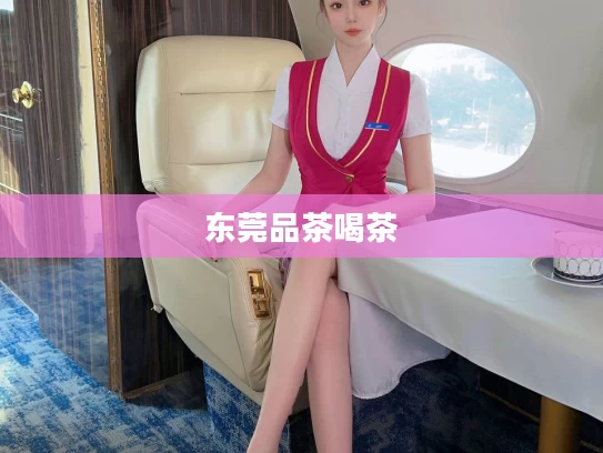 东莞品茶喝茶	