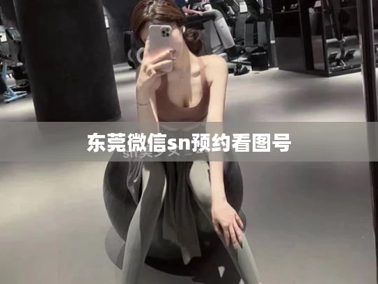 东莞微信sn预约看图号
