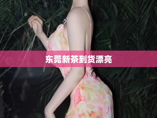 东莞新茶到货漂亮