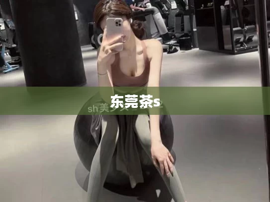 东莞茶s