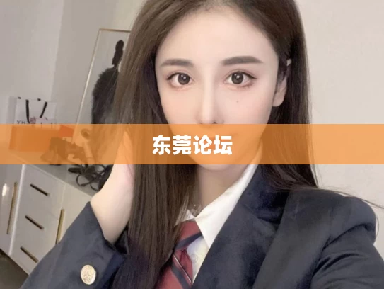 东莞论坛