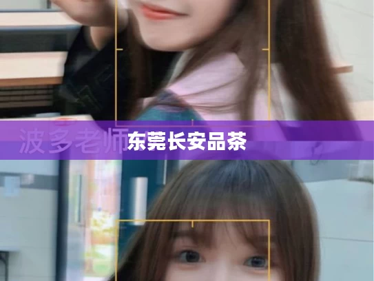 东莞长安品茶