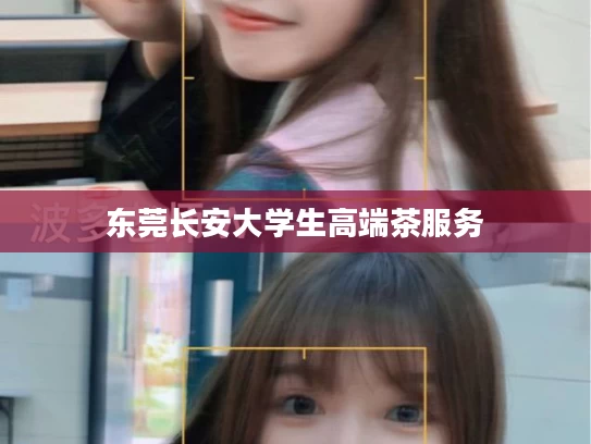 东莞长安大学生高端茶服务