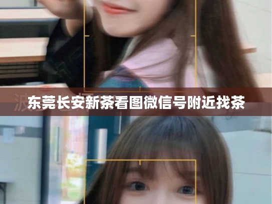 东莞长安新茶看图微信号附近找茶