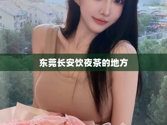 东莞长安饮夜茶的地方