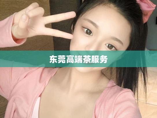东莞高端茶服务