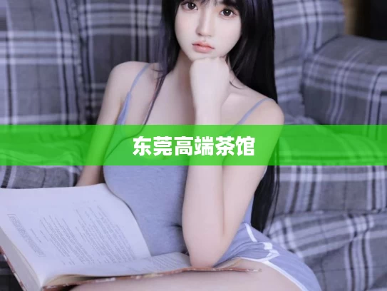 东莞高端茶馆