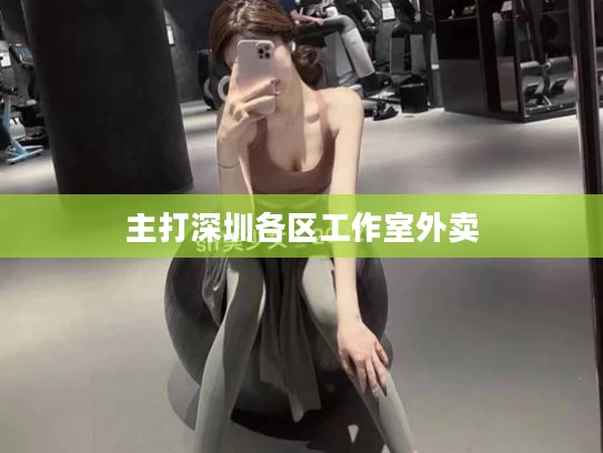 主打深圳各区工作室外卖