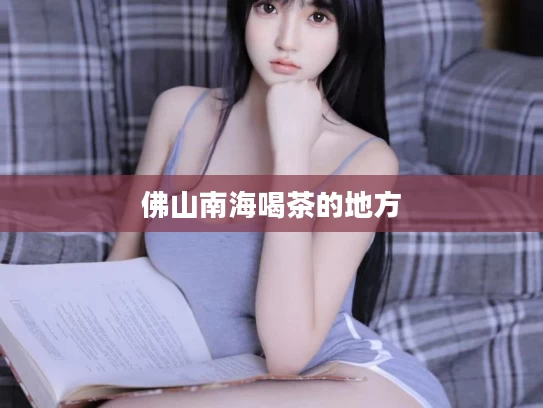 佛山南海喝茶的地方