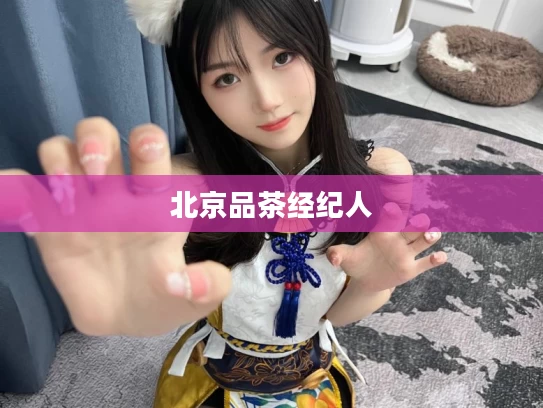 北京品茶经纪人