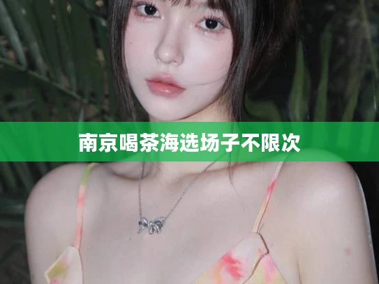 南京喝茶海选场子不限次