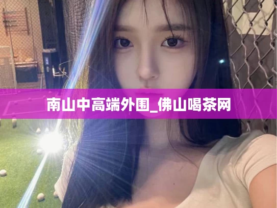 南山中高端外围_佛山喝茶网
