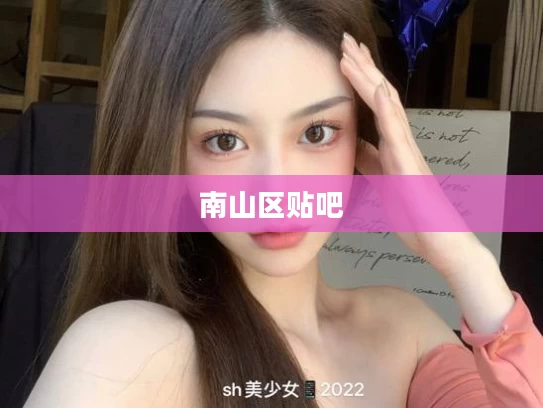 南山区贴吧