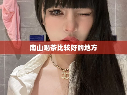 南山喝茶比较好的地方