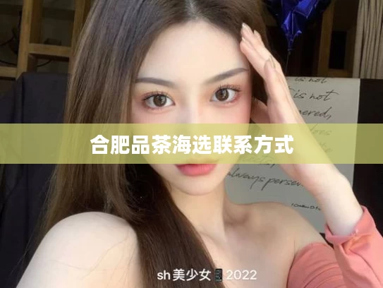 合肥品茶海选联系方式