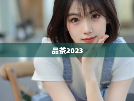 品茶2023