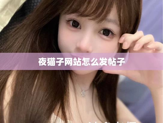 夜猫子网站怎么发帖子