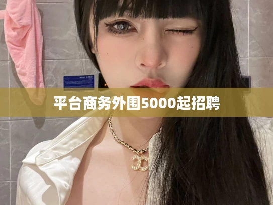平台商务外围5000起招聘