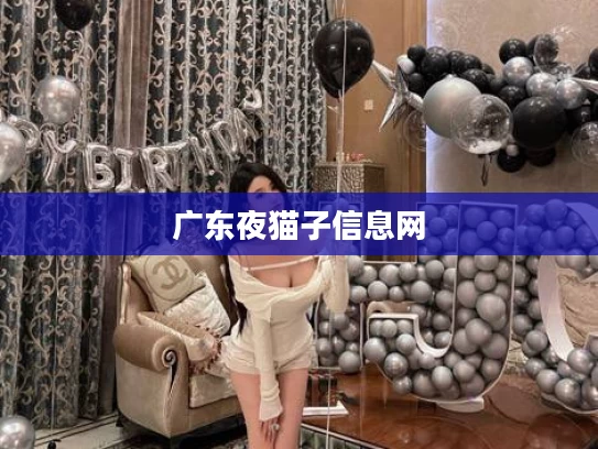 广东夜猫子信息网