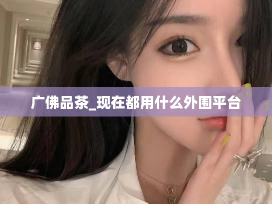 广佛品茶_现在都用什么外围平台