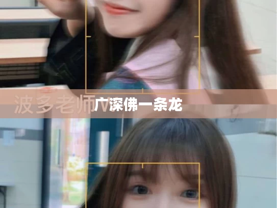 广深佛一条龙