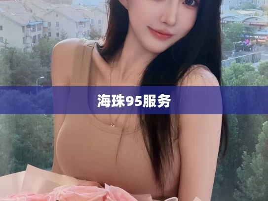 海珠95服务