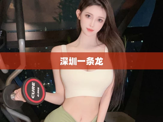 深圳一条龙