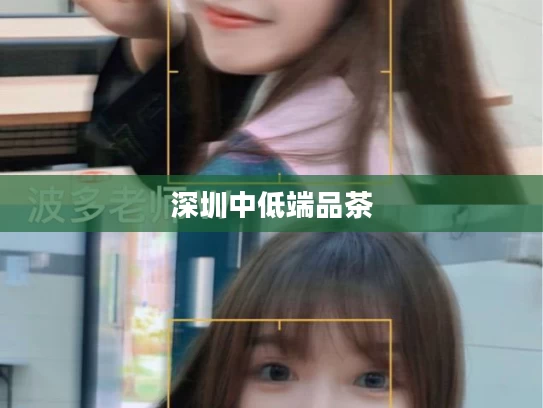 深圳中低端品茶