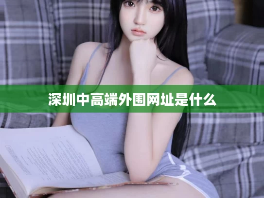 深圳中高端外围网址是什么