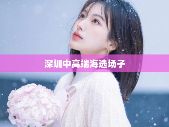 深圳中高端海选场子