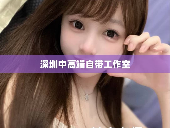 深圳中高端自带工作室