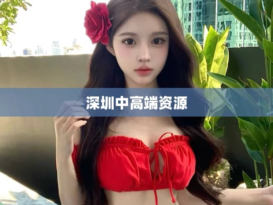 深圳中高端资源