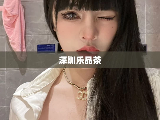 深圳乐品茶