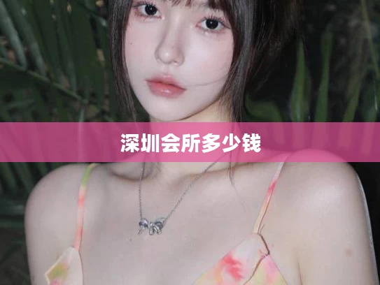 深圳会所多少钱