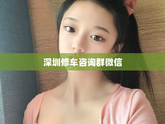 深圳修车咨询群微信