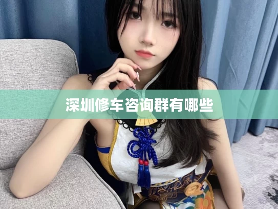 深圳修车咨询群有哪些