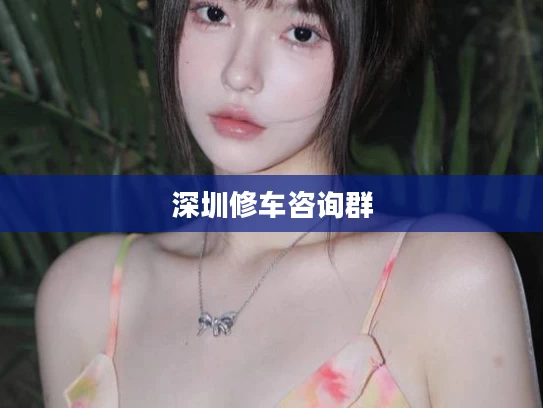 深圳修车咨询群