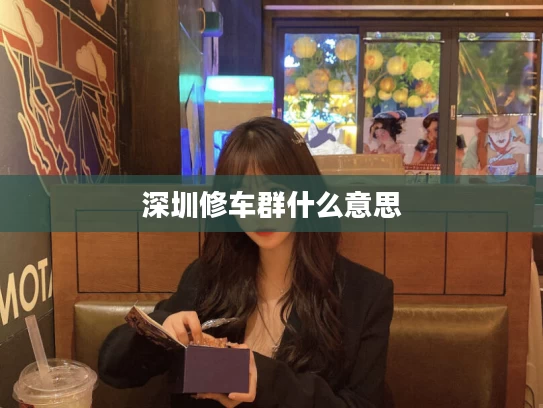 深圳修车群什么意思