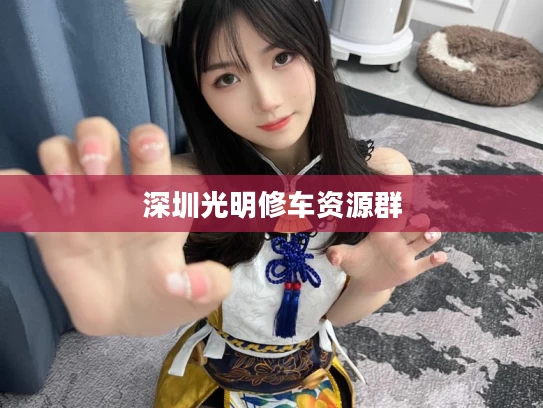 深圳光明修车资源群