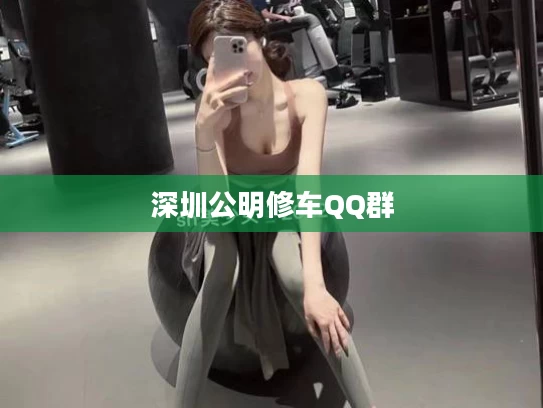 深圳公明修车QQ群