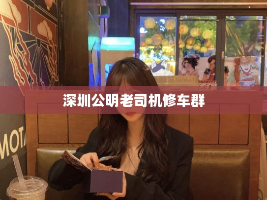 深圳公明老司机修车群