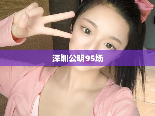 深圳公明95场