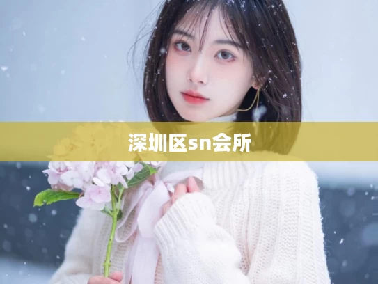 深圳区sn会所