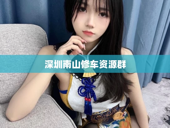 深圳南山修车资源群
